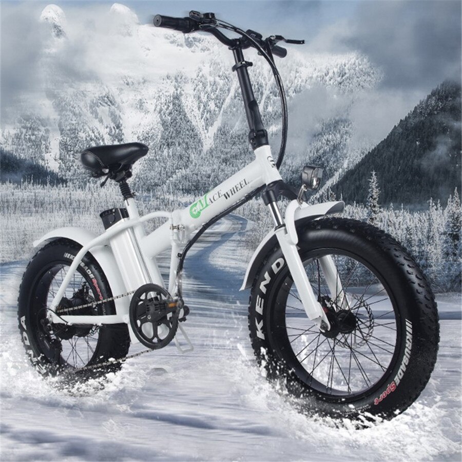 GW20 Electric bicycle 48V 15AH