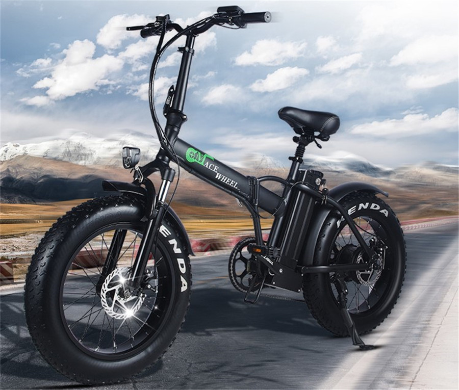 GW20 Electric bicycle 48V 15AH