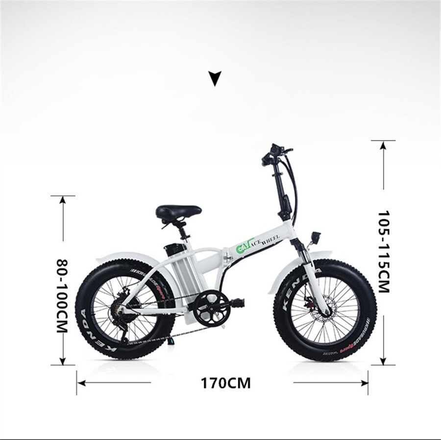 GW20 Electric bicycle 48V 15AH