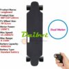 dual motor 300W