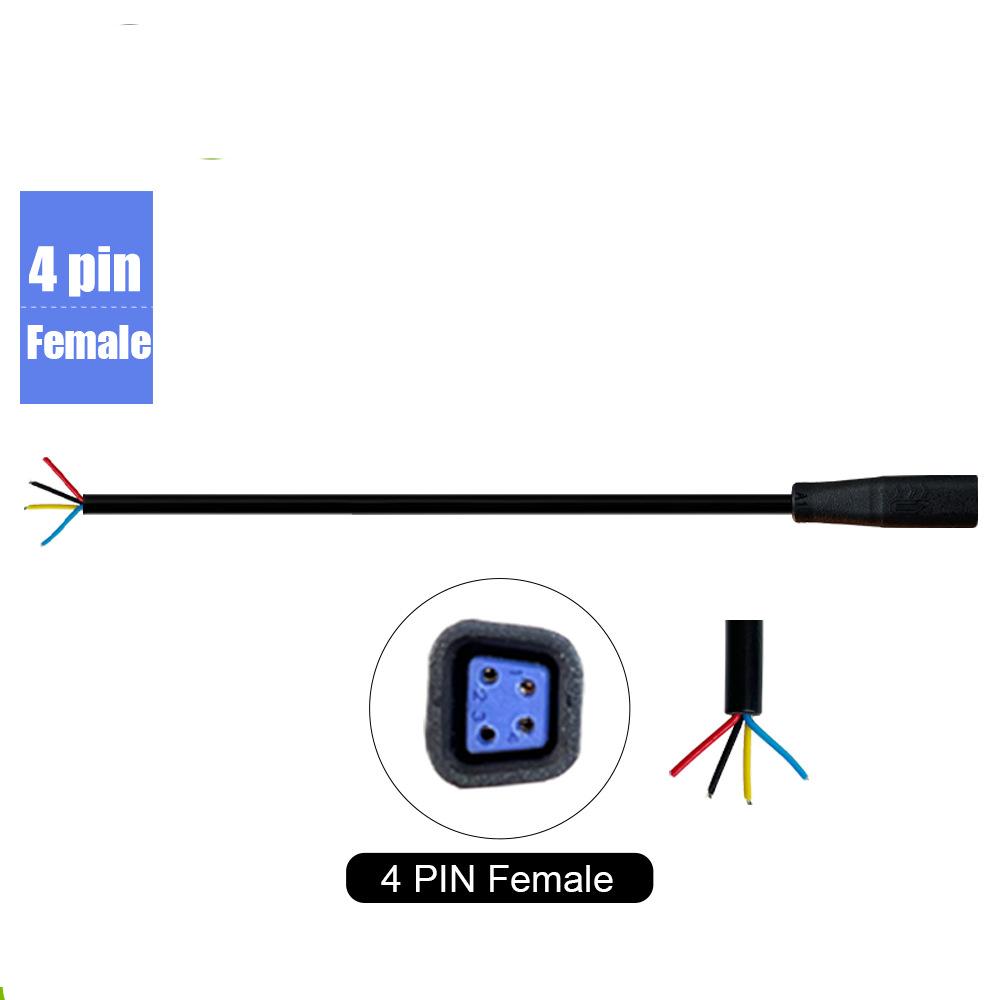 45591-a16d86.jpeg